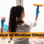 Basics of Window Cleaning