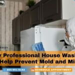 How Professional House Washing Can Help Prevent Mold and Mildew