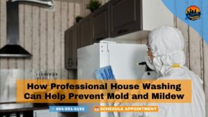 How Professional House Washing Can Help Prevent Mold and Mildew