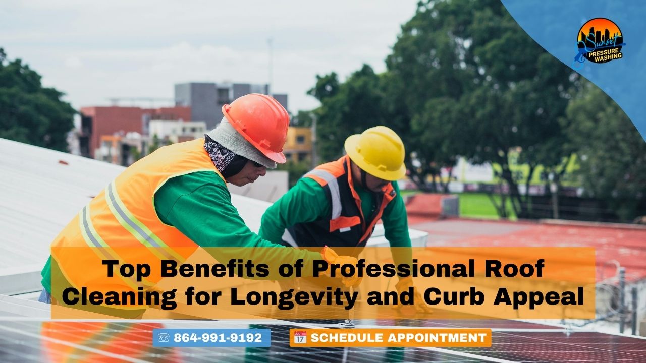 Top Benefits of Professional Roof Cleaning for Longevity and Curb Appeal