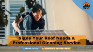 Signs Your Roof Needs a Professional Cleaning Service